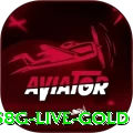 558g Live Gold