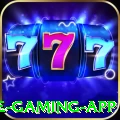55ii Elite Gaming App