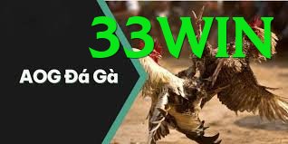 Đá Gà Trực Tiếp - Trải nghiệm tuyệt vời - Cộng đồng