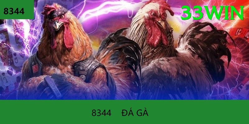 Đá Gà Trực Tiếp - Ưu đãi đặc biệt - Di động